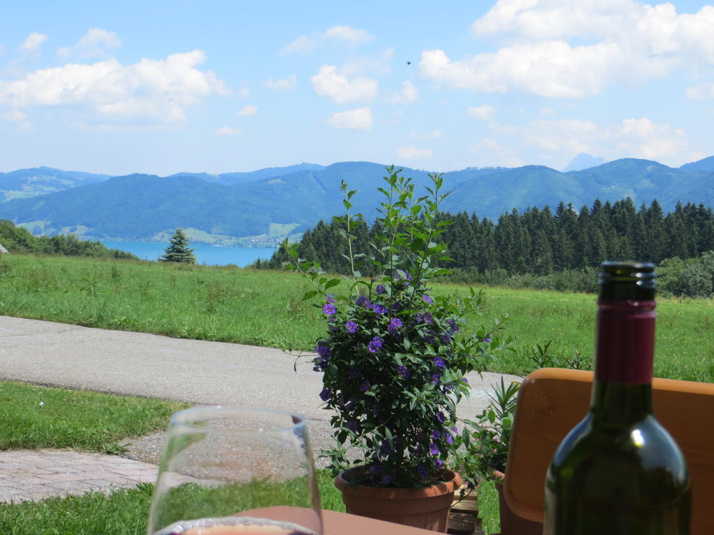 Ferienwohnung Brigitte Perner Nussdorf am Attersee Εξωτερικό φωτογραφία